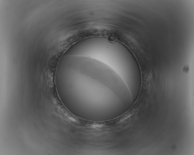 X0000113251013200909241606