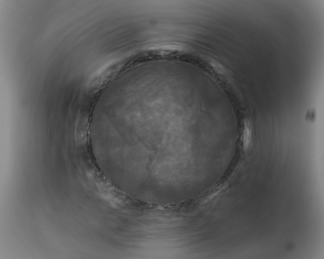 X0000113251014200909241606