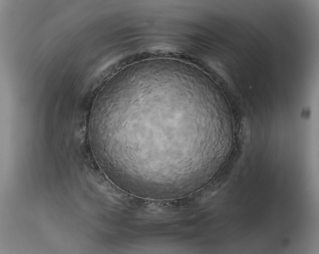 X0000113251015200909241606