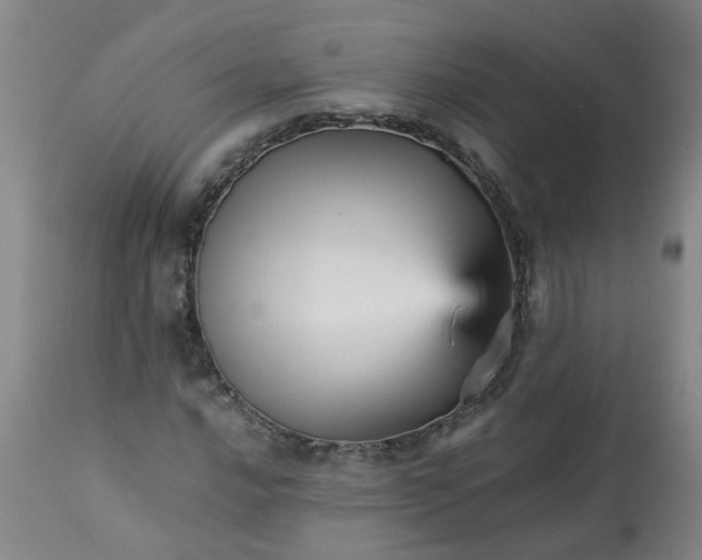 X0000113251016200909241606