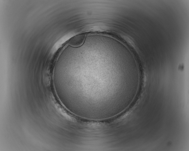 X0000113251018200909241606