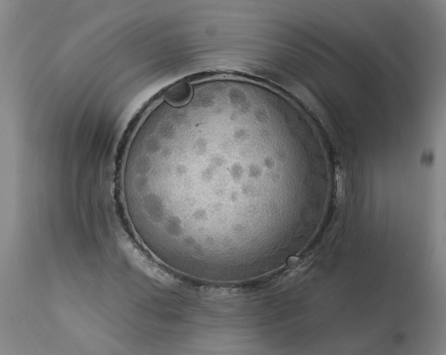 X0000113251020200909241606