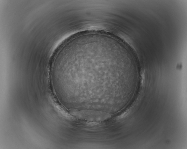 X0000113251021200909241606