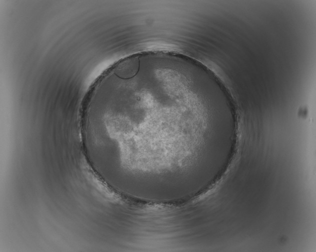 X0000113251022200909241606