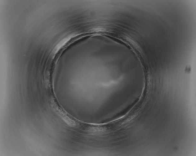 X0000113251023200909241606