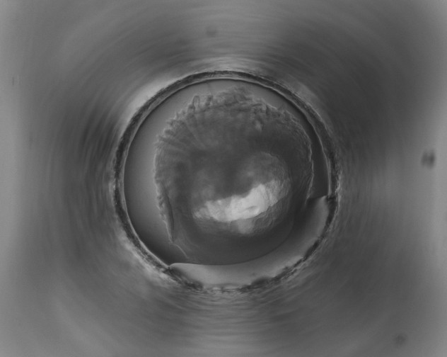 X0000113251024200909241606