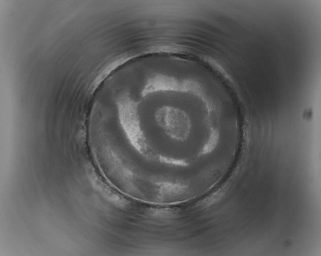 X0000113251025200909241606