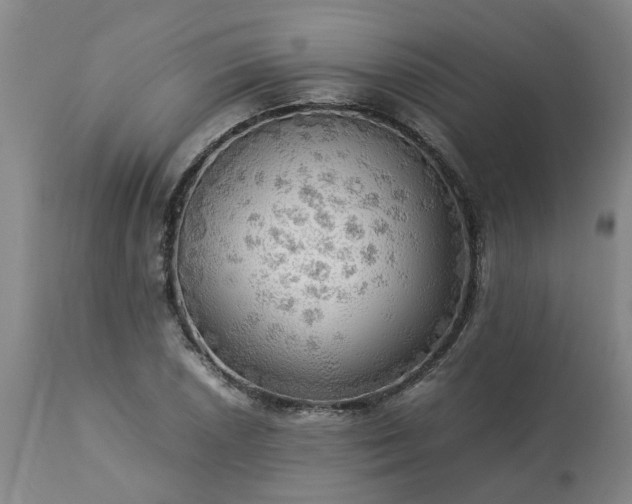 X0000113251026200909241606