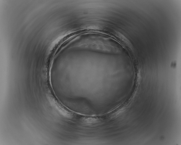 X0000113251027200909241606