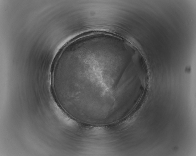 X0000113251028200909241606