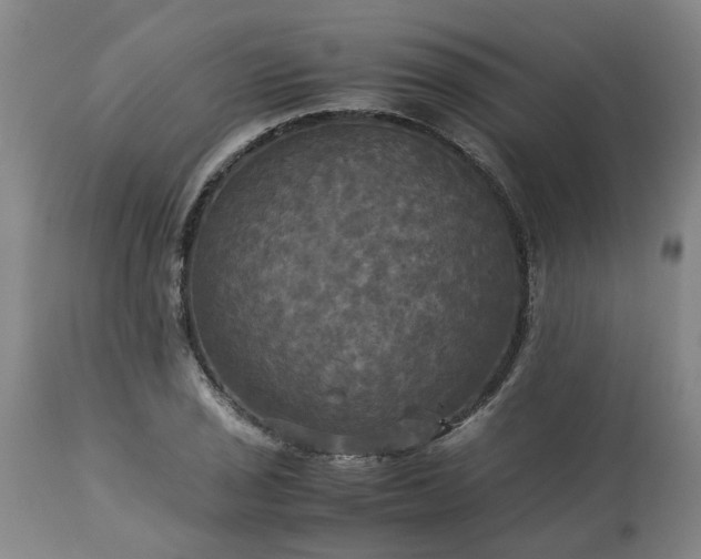 X0000113251029200909241606