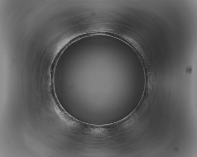 X0000113251031200909241606