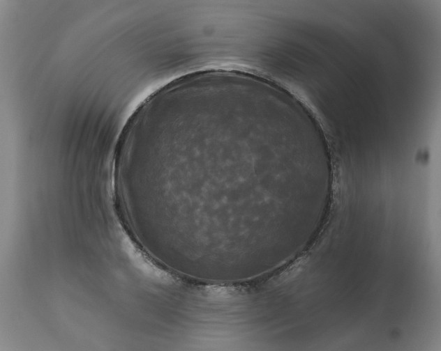 X0000113251032200909241606