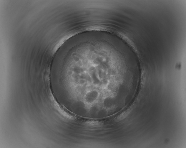 X0000113251033200909241606