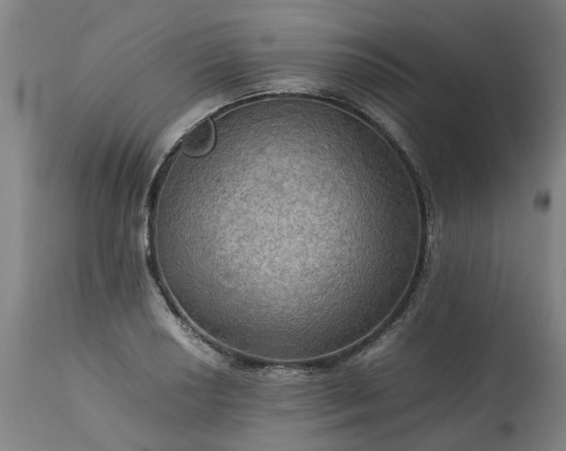 X0000113251034200909241606