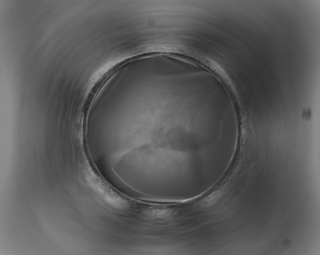 X0000113251035200909241606