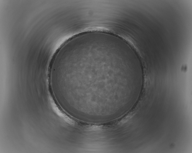 X0000113251038200909241606