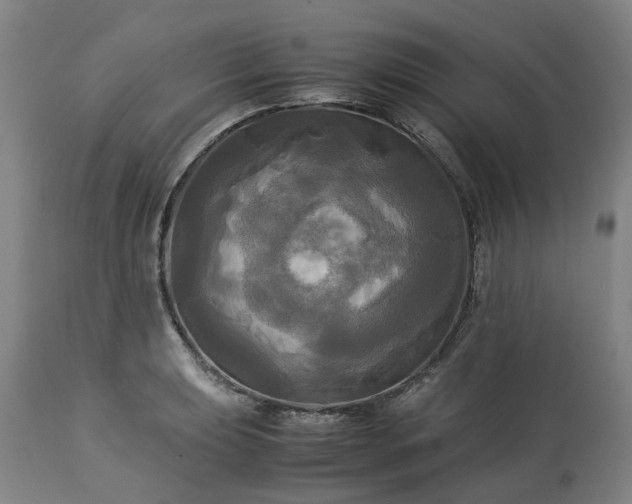 X0000113251039200909241607