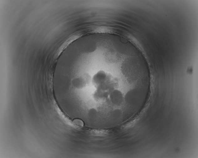 X0000113251041200909241607