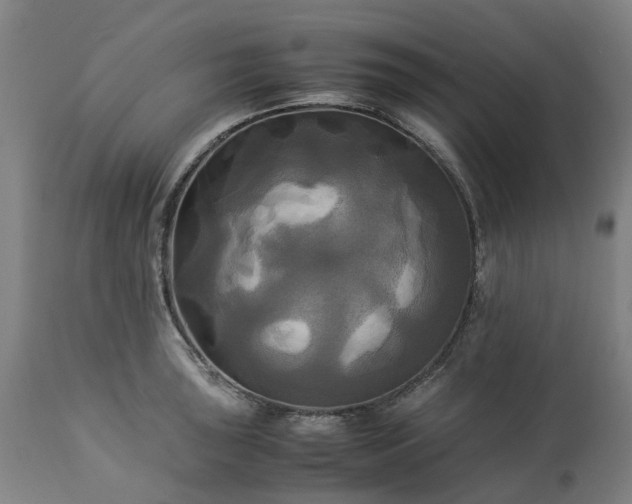 X0000113251043200909241607