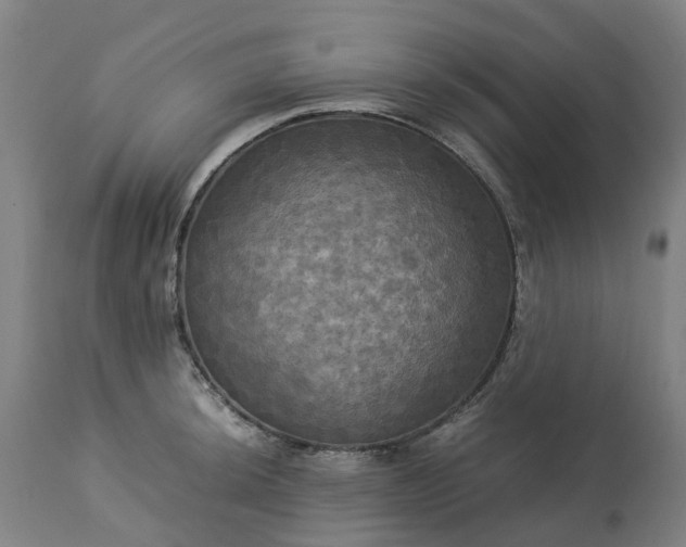 X0000113251044200909241607