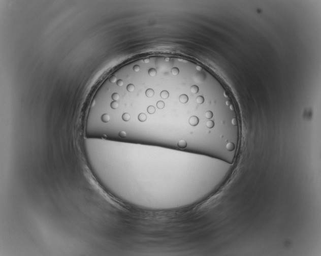 X0000113251045200909241607