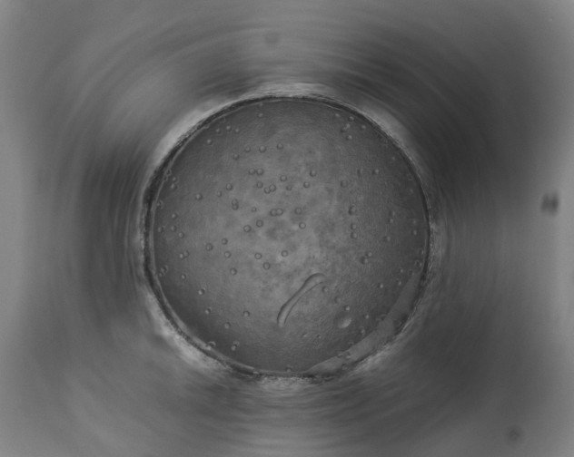 X0000113251046200909241607