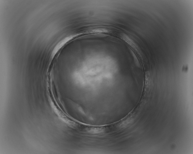 X0000113251047200909241607