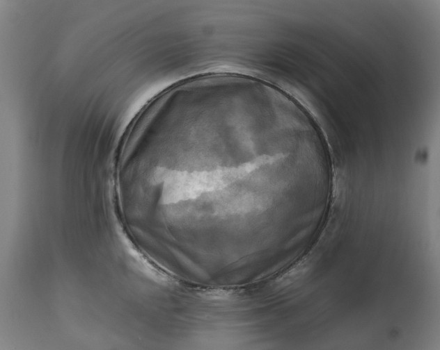 X0000113251048200909241607