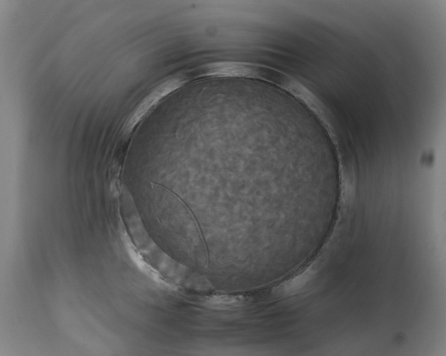 X0000113251049200909241607