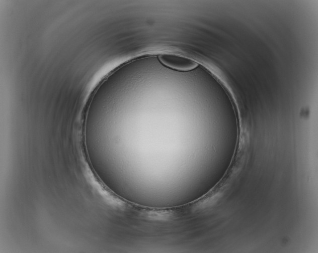 X0000113251053200909241607