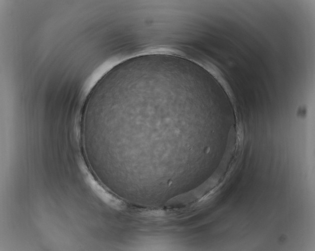 X0000113251054200909241607