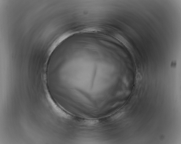 X0000113251055200909241607