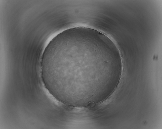 X0000113251056200909241607