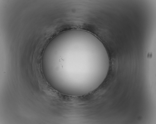 X0000113251057200909241606