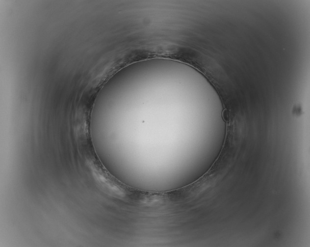 X0000113251058200909241606