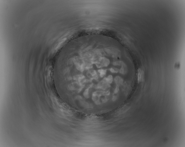 X0000113251059200909241606