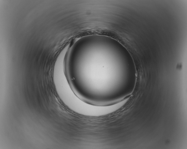 X0000113251060200909241606