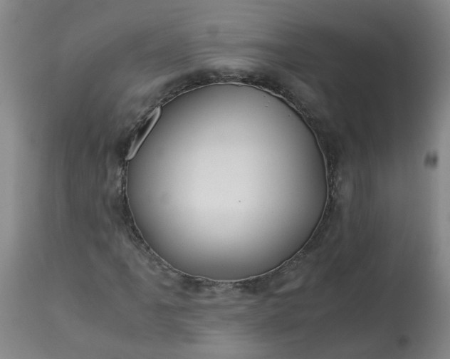 X0000113251061200909241606