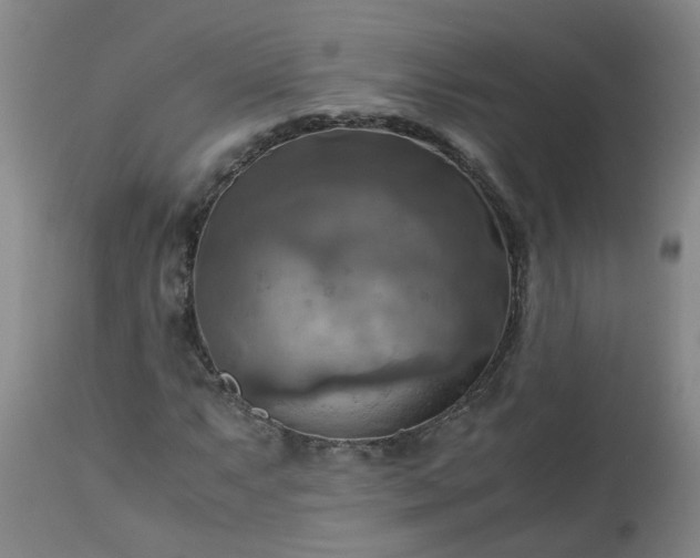 X0000113251063200909241606