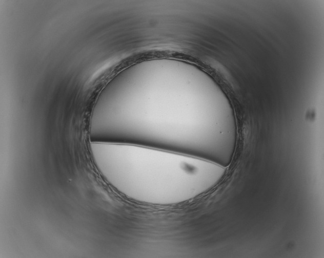 X0000113251064200909241606