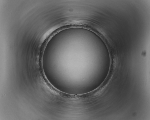 X0000113251066200909241606