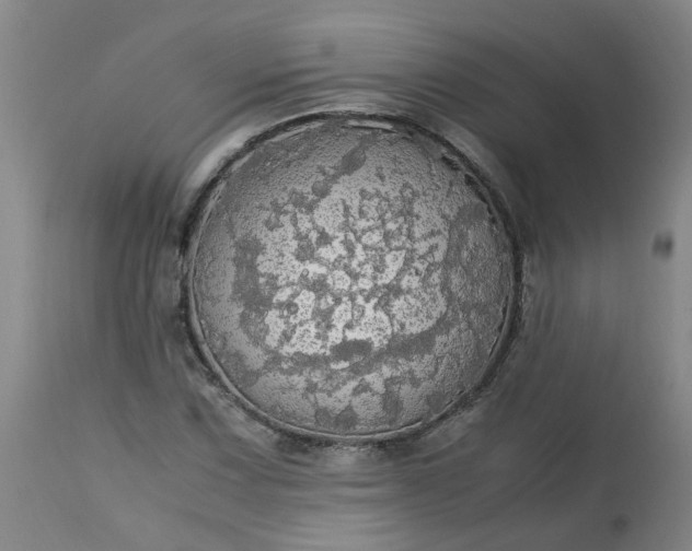 X0000113251067200909241606