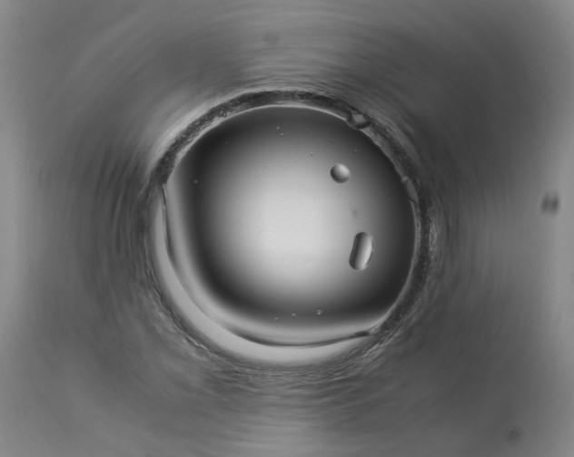 X0000113251069200909241606