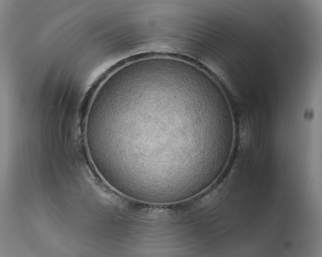 X0000113251070200909241606