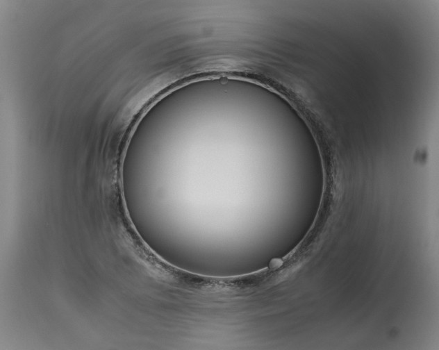 X0000113251073200909241606