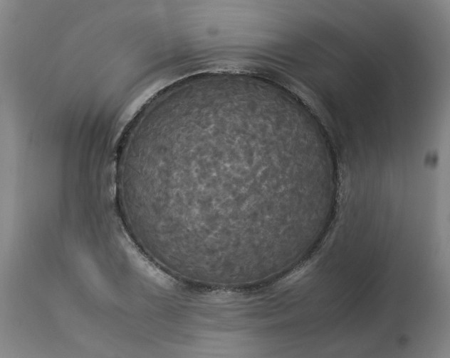 X0000113251075200909241606