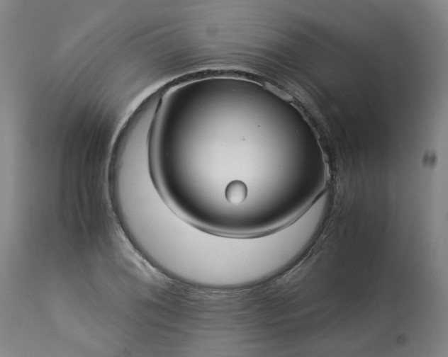 X0000113251076200909241606