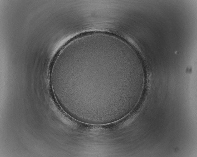 X0000113251077200909241606