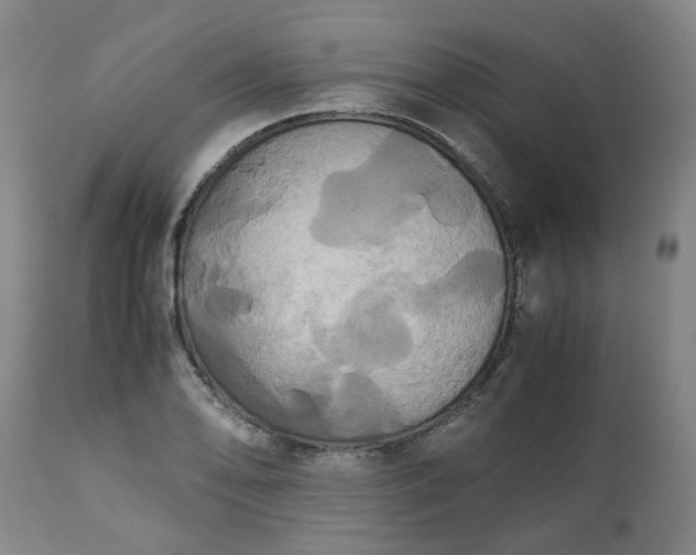 X0000113251078200909241606